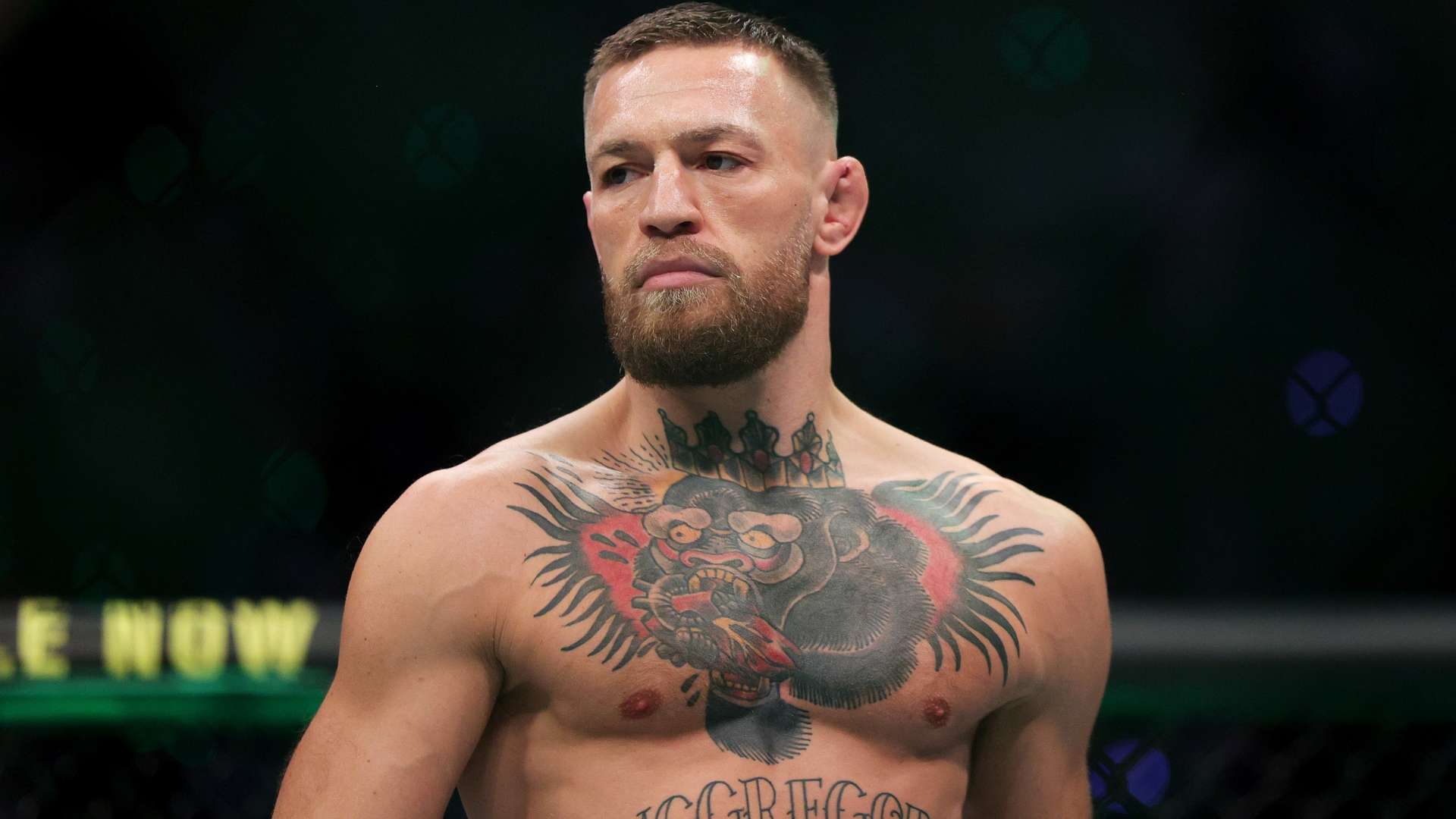 限可能的未 限可能的未