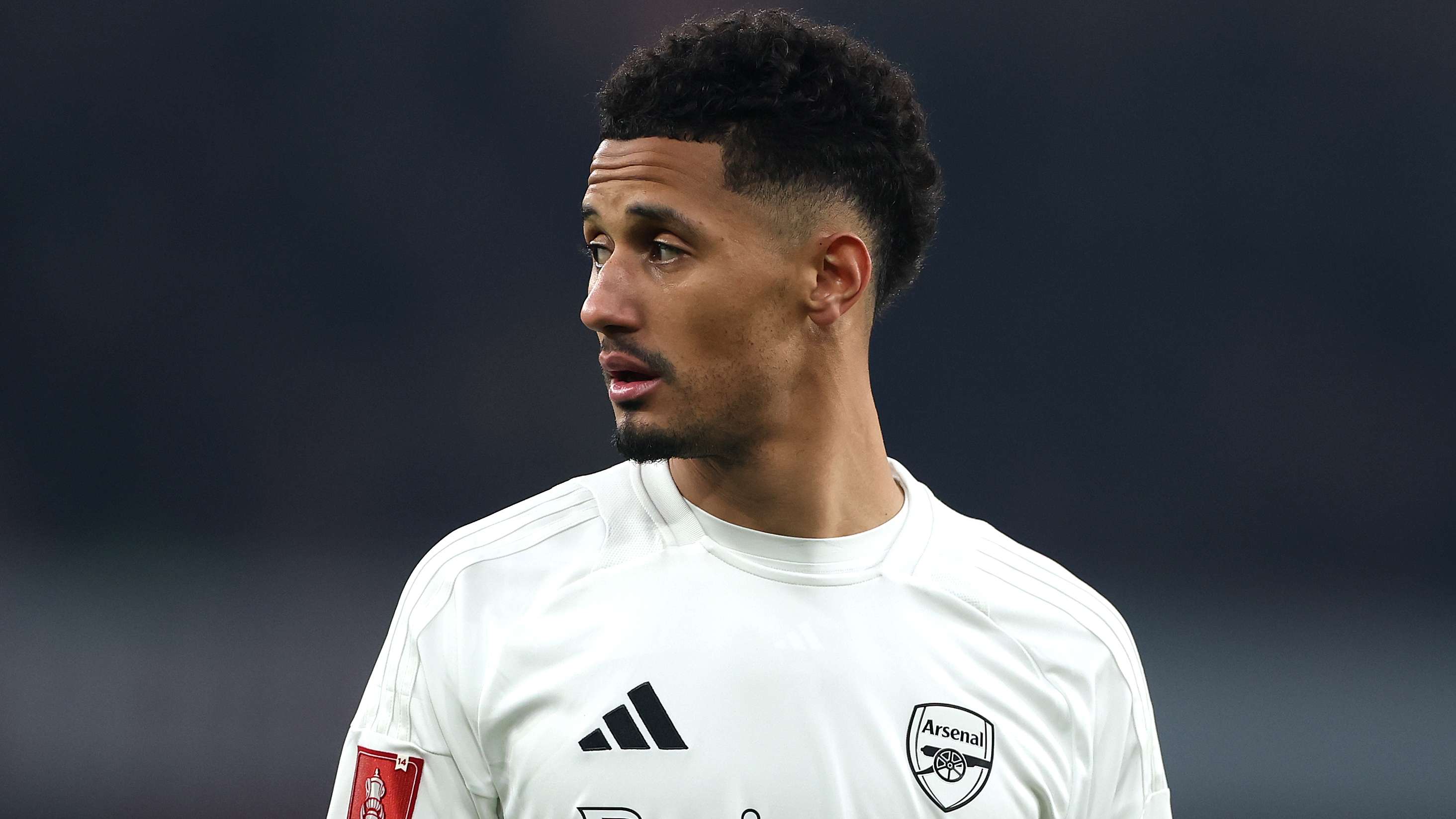 别中的主导 别中的主导