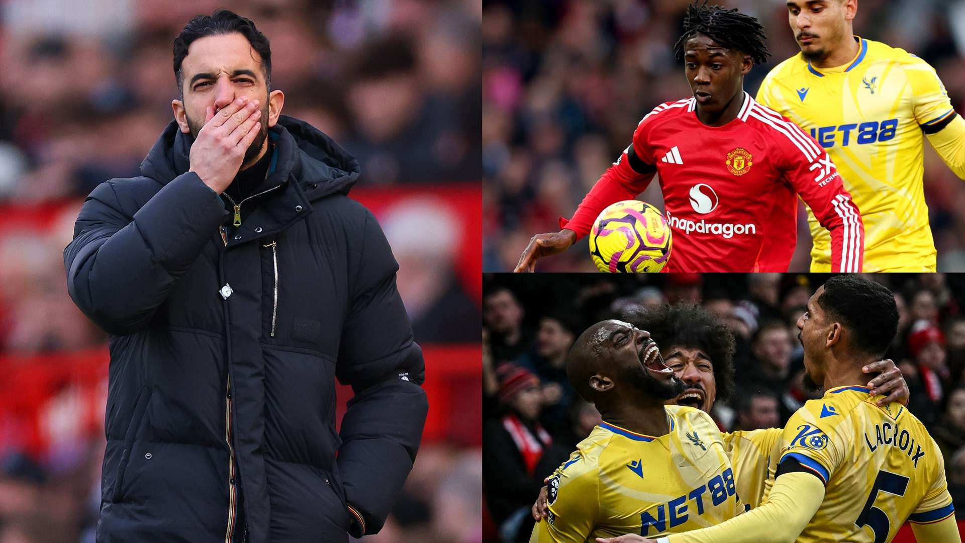 的职业生涯 的职业生涯